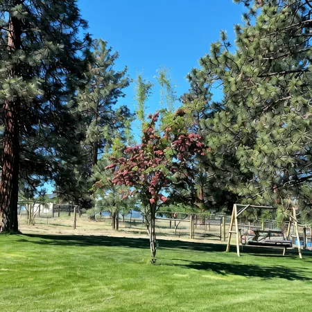 The Cottage at Parallel 46 Vineyard