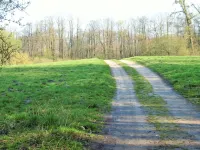 Old forester's house in the nature park, surrounding area of Berlin, own terrace, sauna, WiFi