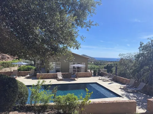 Villa with pool, between olive trees and sea - fantastic view!