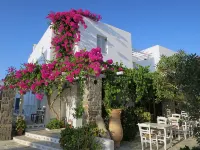 Zefi Hotel & Suites Hotels in Naoussa