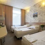 Avlad-Hotel on Dobrosel'Skaya - 寵物友善
