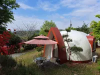 壇陽螢火蟲旅館 - 廚房