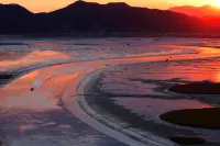 Suncheon Suncheon Bay Reed Story Pension - เพนชั่น