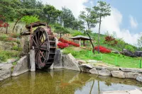 Yeongju Buseoksa Maple Pension - Homestays