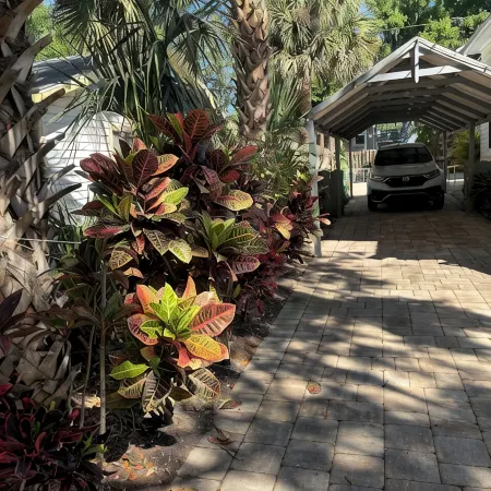Stay at the Turtle Nest in America’s Oldest City! Walk to Sites, Dine, & Shop