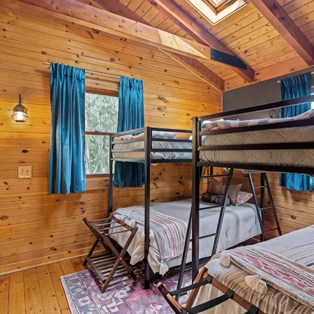 Luxury Cabin on 6 Acres w/ Mountain Views Near Nelson 151 & Wintergreen