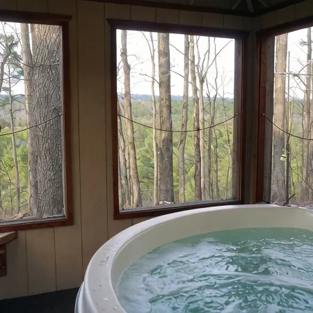 Couples Getaway Near Hot Springs-Jacuzzi and Hot Tub Overlooking Mountains!