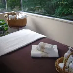 Hakuba Mominoki Hotel - spa
