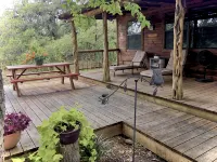 Secluded Ranch Cabin Get Away Between Lost Maples & Garner - シャレー