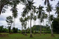 Coconut Garden Cottage, 2km to Ao Nang Beach 2 - 2 星級