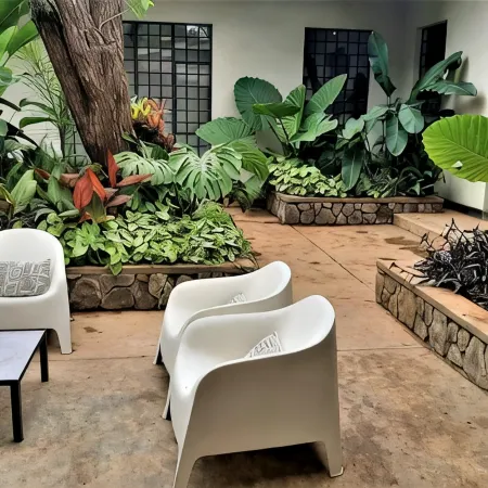 Mitengo House