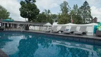 Knotty Pine Motel - Motels