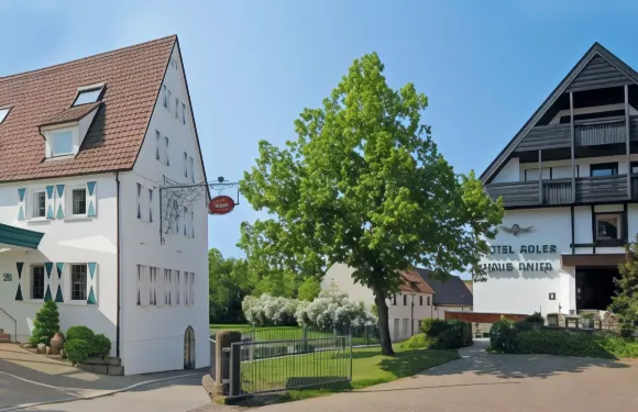 阿內格阿德勒餐廳酒店