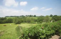 Host Stay Tregaer Mill Barn