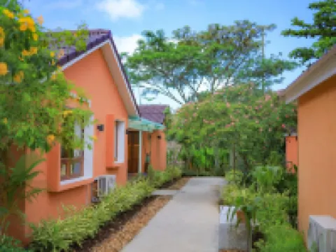 小白鳥旅行者旅舍 沽島酒店