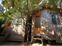 OLYMPOS VARUNA BUNGALOWS Hotels in 