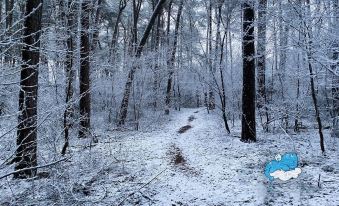 Dragon’s Nest: Cozy & Modern Attic Loft Nuremberg