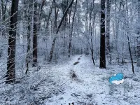 Dragon’s Nest: Cozy & Modern Attic Loft Nuremberg
