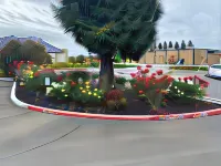 Oasis Inn Sacramento- Elk Grove
