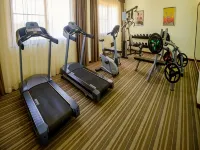 Raphael's Hotel - gimnasio
