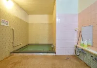 Shinwaka Lodge - Hot Springs