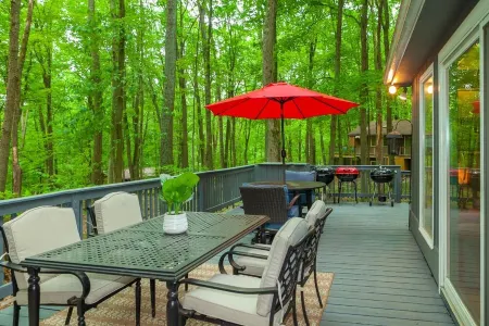 Coolfont 4 Bdrm, Lots of Beds! Cozy Wooded Cottage. Отели рядом с достопримечательностью «Парк штата Беркли Спрингс»