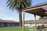 Golden Palms Motel - Frühstück