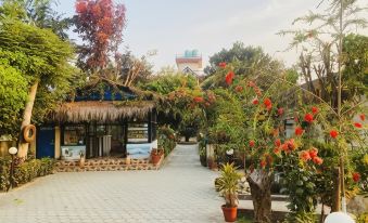 Eco Adventure Resort