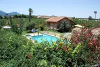 Dar Zaghouan - Pools