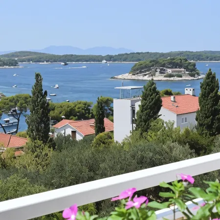 Villa Zorana Hostel