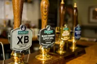 The Golden Lion Inn - Bares