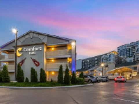 コンフォート  イン ダウンタウン ナッシュビル - ミュージック シティ センター デイヴィッドソンのホテル