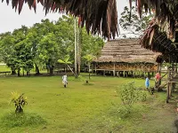 Amazon King - parkir