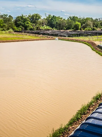 รูปภาพของซีโค้ดรีสอร์ท