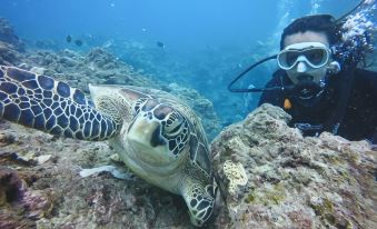 Stay Liuqiu Diving Hostel