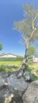 "The Little Tuscan Villa"  - right in the heart of Stanthorpe!