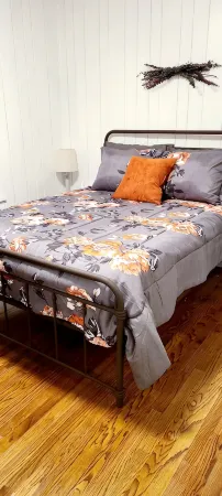 Close to Everything / Bring the Dog!