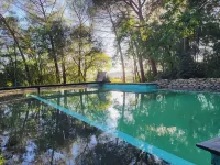 Il Poggio B&B - صديق للحيوانات الاليفة