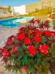 Pousada Dona Terezinha - Villas