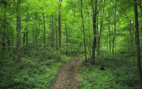Sherwood Forest Park- 6BD/3BA on Private Ohio Land