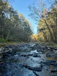 The Creek House - Secluded Stay 10min to Woodstock & Saugerties