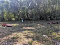 Pet Friendly Historic and Cozy Bungalow in Downtown St. Pete with HUGE BACKYARD - Bungalows