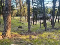 Spacious Seeley Lake Luxury Home 4-Bdr, 4 Bath.  Snowmobiler/Adventurer Paradise - Homestays
