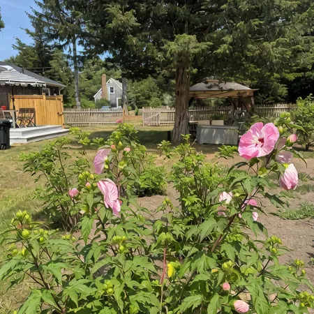 Charming 3-bedroom house in lovely Barnstable