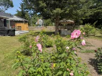 Charming 3-bedroom house in lovely Barnstable - โฮมสเตย์