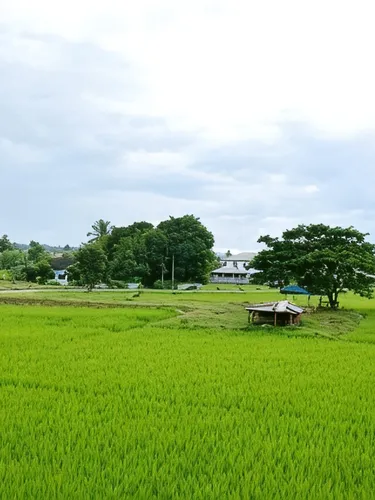รูปภาพของPernjai Homestay บ้านคำข้อน
