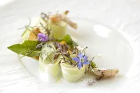 Engel Gourmet&Spa