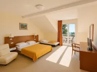 Hotel Neptun Gradac Hotels in Gradac