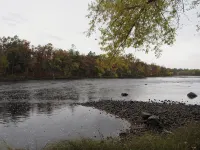 Secluded 3-bedroom cabin on the Chippewa River near Ladysmith, WI with WiFi, AC