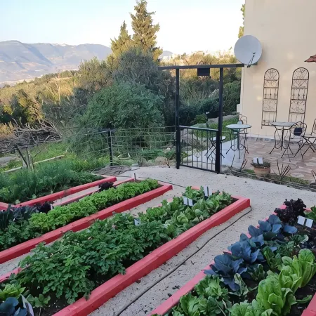 Charming 2-bedroom apartment with WiFi, AC in quaint Mikhmanim